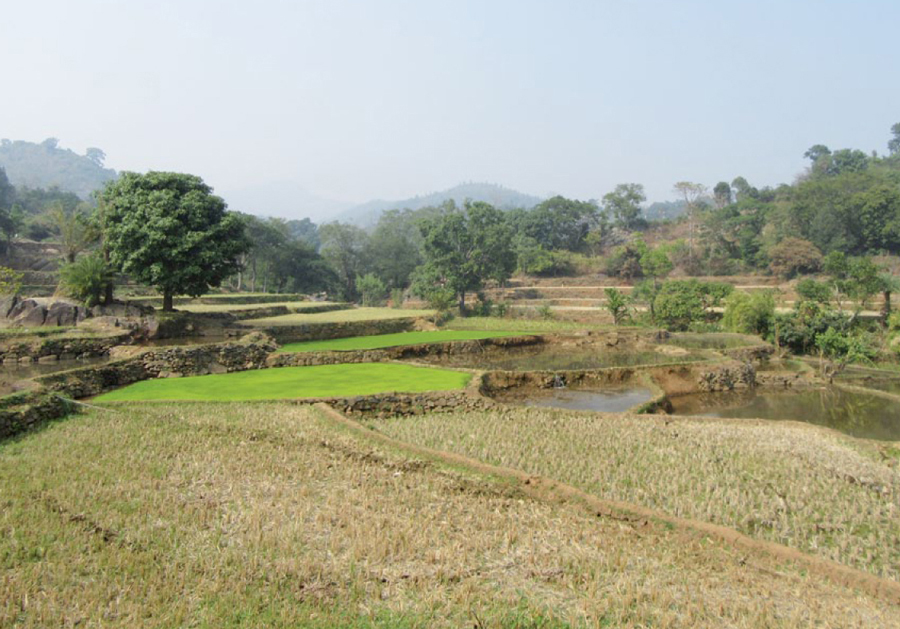 Landholdings in India